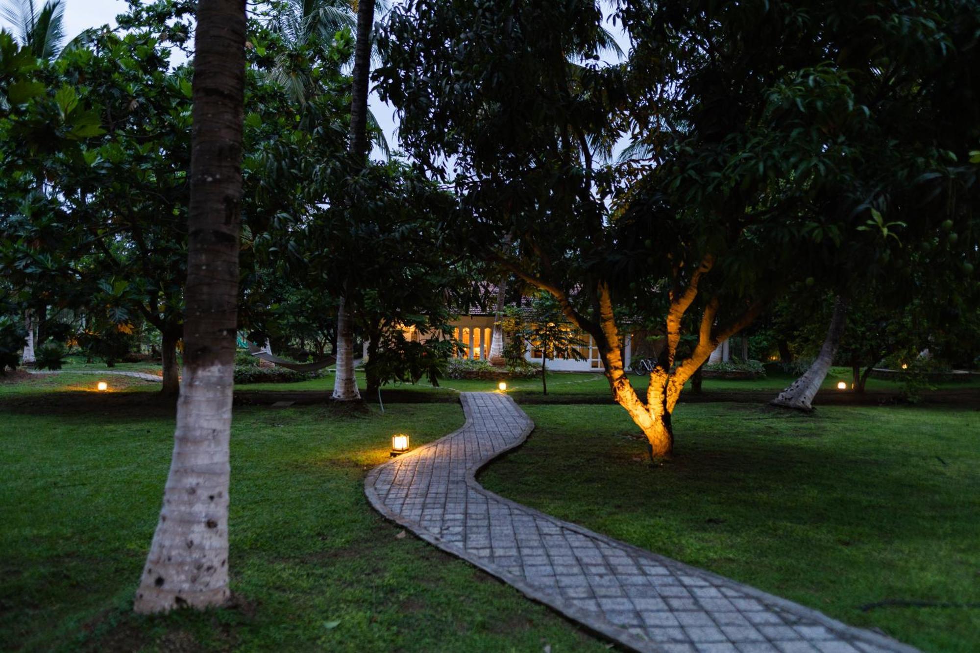 The Mangifera Apartment Bandipur Exterior photo
